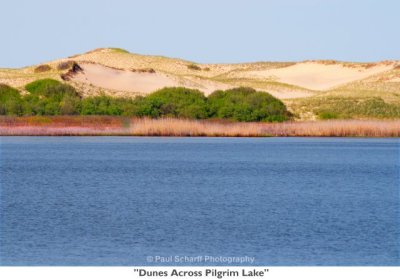 207  Dunes Across Pilgrim Lake.jpg