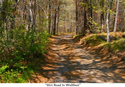 211  Dirt Road In Wellfleet.jpg