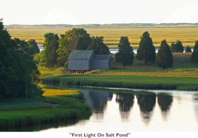 217  First Light On Salt Pond.jpg