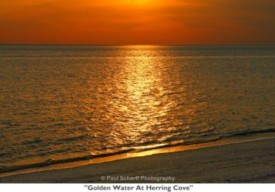 221  Golden Water At Herring Cove.jpg
