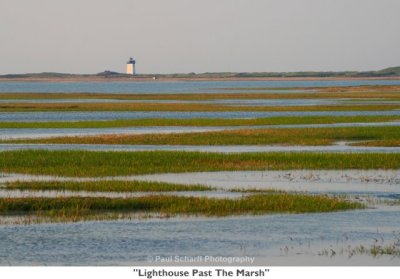 233  Lighthouse Past The Marsh.jpg