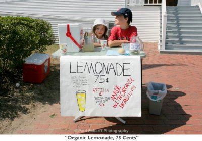 247  Organic Lemonade, 75 Cents.jpg