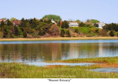 250  Nauset Estuary.jpg