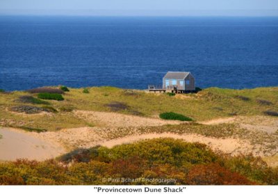 260  Provincetown Dune Shack.jpg