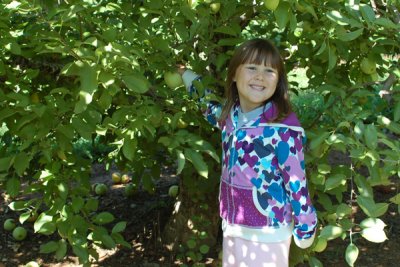 Reagan picking apples