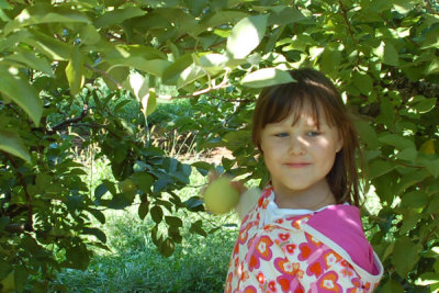 Rory picking apples