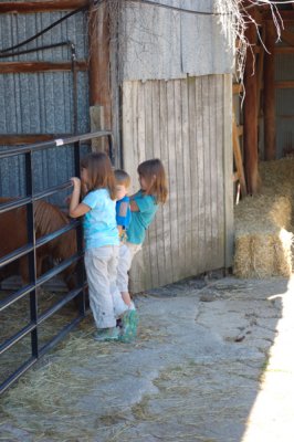 Hanging around the farm with a new little admirer