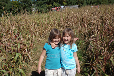 The corn maze