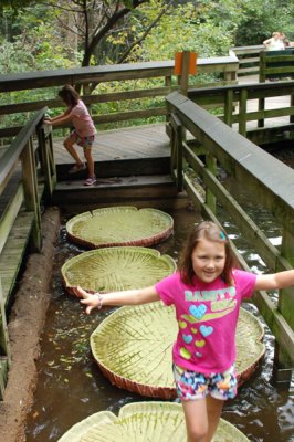 Reagan junping lilly pads