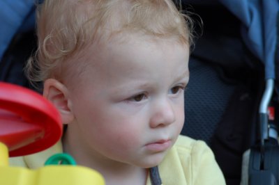 Liam was fascinated by the animals
