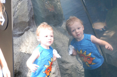 Impromptu Aquarium Trip