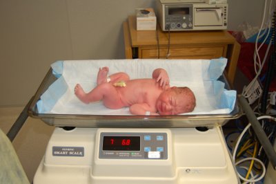 7 pounds 7oz