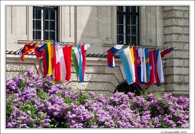 Flags at Hofburg