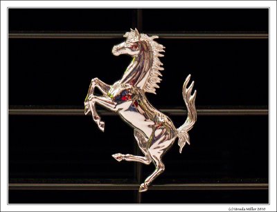 Ferrari-Horse