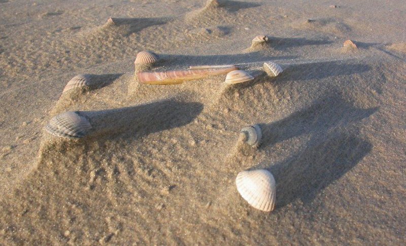 strand 01-2010 2.jpg