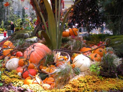 Bellagio's fall atrium display