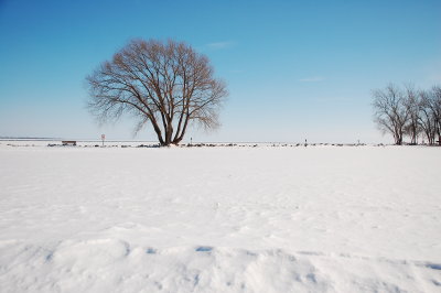 Lake Erie Metropark