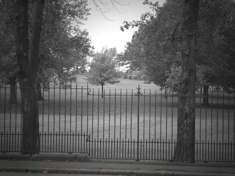 Herne Hill  Park.jpg