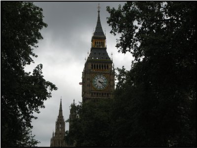 Westminster foliage.jpg