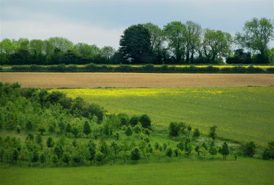 Hampshire farm land.jpg