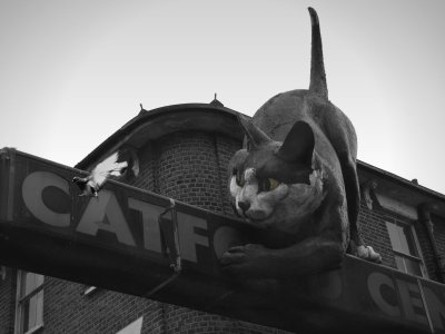 The Giant Cat of Catford .London SE.jpg