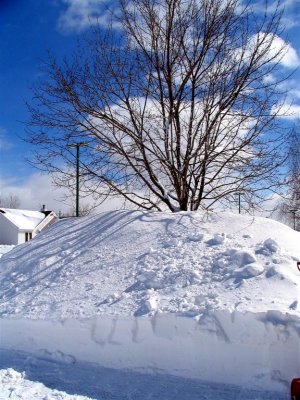 After our biggest snow storm of 2008