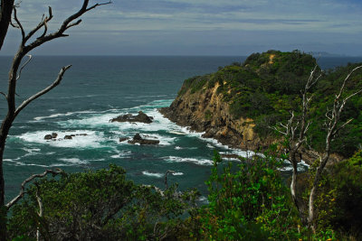 Matapouri Coast