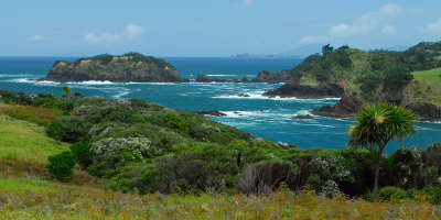 Tutukaka Harbor
