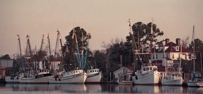 Southern Shrimpers