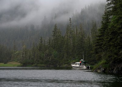Misty Evening