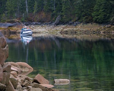 Cedar Bay