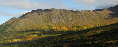 Fall in the Chugach