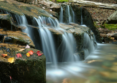 Fall Falls