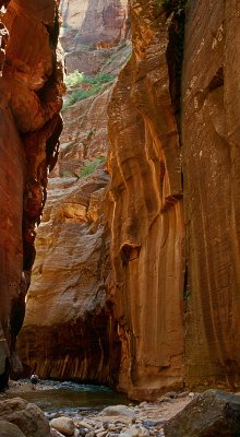 Zion NP