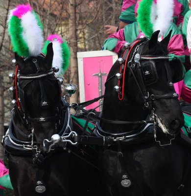 Carnevale di Ivrea 2009 27.JPG