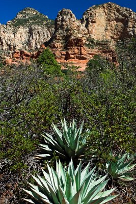 Broken Arrow - Sedona