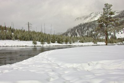 Yellowstone