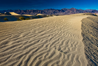 Mesquite Dunes