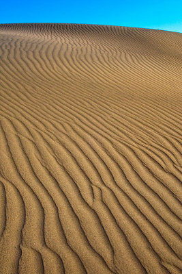 Mesquite Dunes