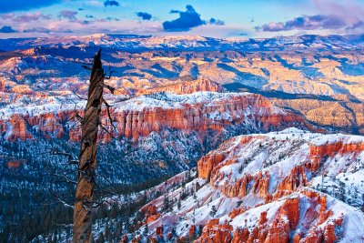 Bryce Point View