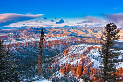 Bryce Point View