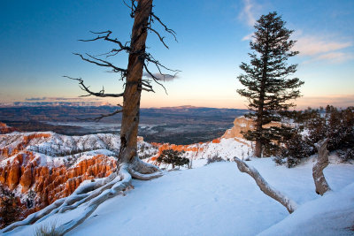 Bryce Point View