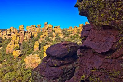 Chiricahua N.M.