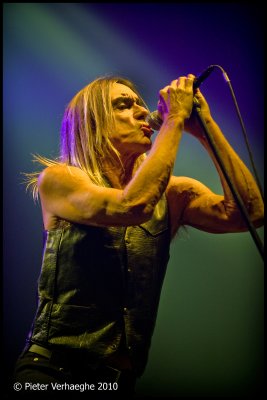 Iggy Pop