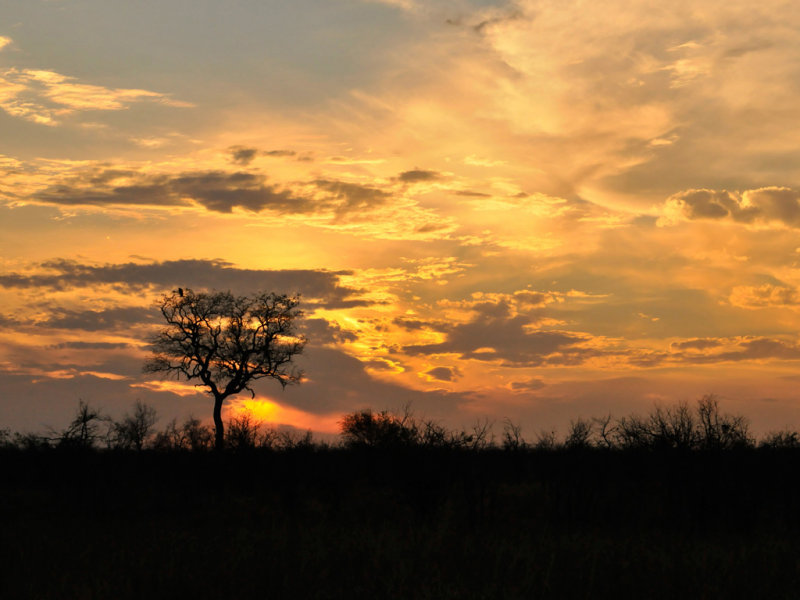 sunrise in Kruger park