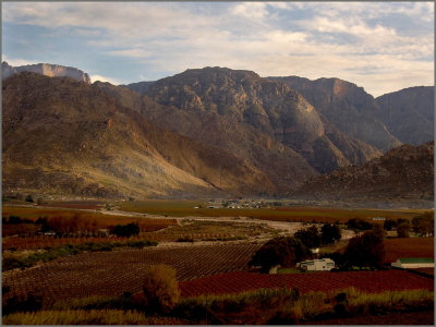 early morning in De Doorns