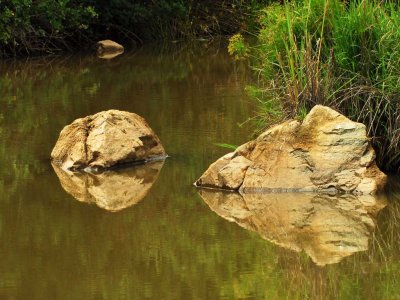 rock reflections