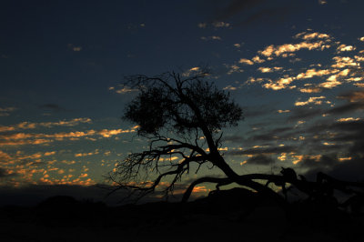 just before sunrise