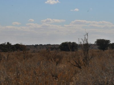 kgalagadi-003