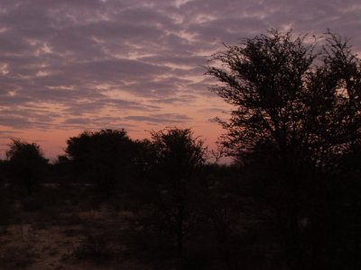 kgalagadi-006